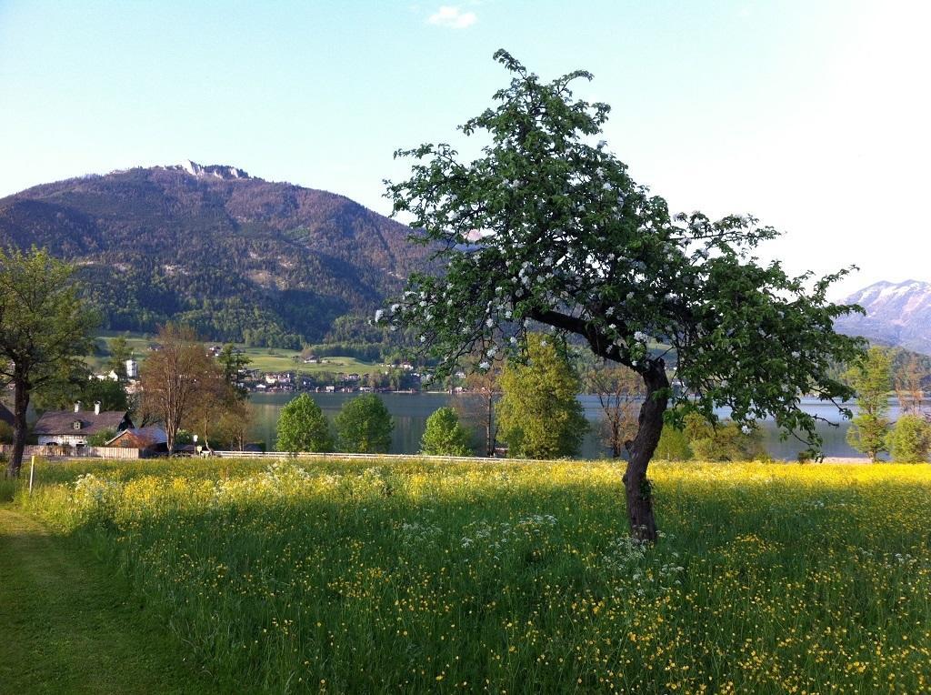 Haus Schoenblick Appartement Strobl Buitenkant foto